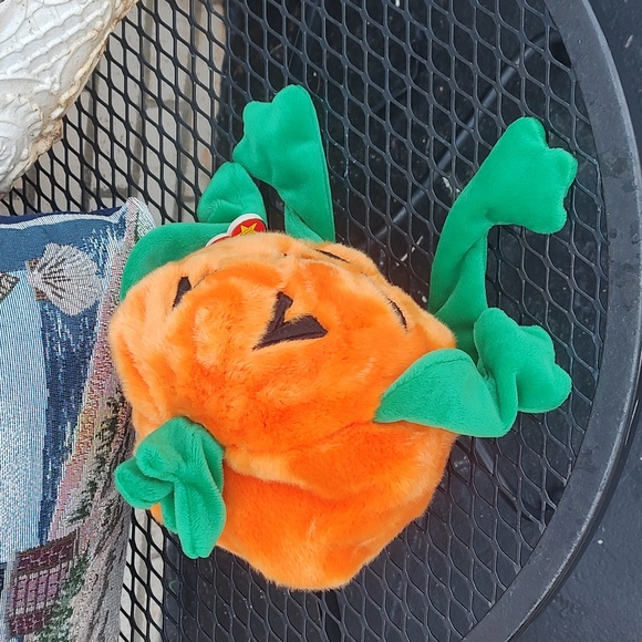Pumpkin 🎃 Ty - Picture 5 of 10